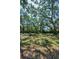 Two-story home nestled among mature trees and lush landscaping, statue in the yard at 420 Hanby St, Crystal Beach, FL 34681