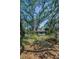 Spacious front yard featuring mature trees providing shade and privacy to the charming raised home at 420 Hanby St, Crystal Beach, FL 34681