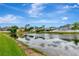 Picturesque pond view with houses along the shoreline at 5103 Rushbrook Rd, Land O Lakes, FL 34638