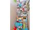 Packed storage closet with shelving filled with toys, games, and supplies at 5103 Rushbrook Rd, Land O Lakes, FL 34638