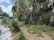 Backyard featuring mature trees and other plants at 6715 16Th N St, St Petersburg, FL 33702