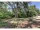 View of secluded backyard with mature trees and green space at 8110 Pond Shadow Ln, Tampa, FL 33635