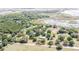 Aerial view of the property surrounded by lush greenery and a nearby lake at 9722 Kenton Rd, Wesley Chapel, FL 33545