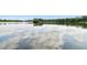 Scenic lake view showcasing tranquil water and surrounding natural beauty at 11624 Calf Path Dr, Tampa, FL 33626