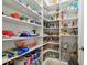 Walk-in pantry with custom shelving, providing ample storage for all your kitchen essentials at 11624 Calf Path Dr, Tampa, FL 33626