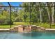 Luxurious spa attached to a screened pool surrounded by lush greenery at 11624 Calf Path Dr, Tampa, FL 33626