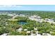 Beautiful aerial view featuring a serene pond and mature trees, showcasing the property's natural surroundings at 2626 2Nd Ct, Palm Harbor, FL 34684