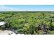 Community aerial shot with lush green trees and open space at 2626 2Nd Ct, Palm Harbor, FL 34684