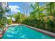 A beautiful backyard pool surrounded by lush landscaping and mature trees at 2802 Northpointe Ln, Tampa, FL 33611