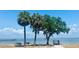 Scenic waterfront view featuring palm trees, benches, and a tranquil body of water at 2802 Northpointe Ln, Tampa, FL 33611