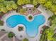 Top down aerial view of a luxury community pool with tropical landscaping and pergola covered seating areas at 32714 Brooks Hawk Ln, Wesley Chapel, FL 33543