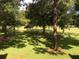 A small herd of deer grazes on a sunny lawn at 3505 Tarpon Woods Blvd # K409, Palm Harbor, FL 34685