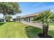 Backyard view of the home shows grass, stucco, roof and palm tree at 3956 Tarpon Pointe Cir, Palm Harbor, FL 34684