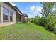 Well-maintained backyard with lush greenery and screened lanai at 4195 Barletta Ct, Wesley Chapel, FL 33543