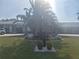 Landscaped front yard with palm trees and stone features at 5404 Springwood Blvd # 5404, Pinellas Park, FL 33782