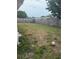 Spacious backyard, partially overgrown, featuring a tall wood fence for privacy at 7525 Arbordale Dr, Port Richey, FL 34668