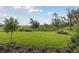 Well-maintained backyard with lush green grass and partial views of the surrounding greenery at 8514 Dove Bog Ter, Parrish, FL 34219