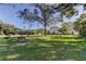 Expansive backyard with a mature tree, bench, and lush green lawn at 1089 Virginia St, Dunedin, FL 34698