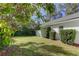 Well-maintained backyard featuring lush greenery and manicured hedges, providing a private and inviting outdoor retreat at 1089 Virginia St, Dunedin, FL 34698