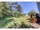 Large backyard featuring a green lawn, mature trees, and beautiful landscaping at 1089 Virginia St, Dunedin, FL 34698