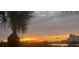 Scenic sunset view featuring a palm tree silhouetted against a vibrant orange and yellow sky at 1111 Normandy Trace Rd # 1111, Tampa, FL 33602