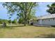 Large yard with mature tree on property at 11141 Rex Hunter Ln, Lithia, FL 33547