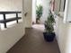 Inviting hallway with stylish black planter, decorative plants, textured walls and accents at 120 1St E St # 104, St Petersburg, FL 33715