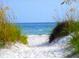 Sandy beach path leading to the ocean with dune grass at 3643 Arbor Chase Dr, Palm Harbor, FL 34683