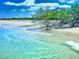 Beautiful beach view with turquoise water and lush green trees on a sunny day at 3643 Arbor Chase Dr, Palm Harbor, FL 34683