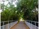 A bridge on the trail framed by lush green trees at 3643 Arbor Chase Dr, Palm Harbor, FL 34683