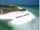 Aerial view of Caladesi Island with clear blue water and pristine white sands at 3643 Arbor Chase Dr, Palm Harbor, FL 34683