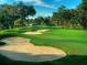 Lush green golf course with sand traps and mature trees, offering a challenging and scenic playing experience at 3643 Arbor Chase Dr, Palm Harbor, FL 34683
