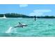 Scenic ocean view with a dolphin jumping out of the clear turquoise water with boats in the distance at 3643 Arbor Chase Dr, Palm Harbor, FL 34683