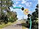 Picturesque view of the Palm Harbor trail under a clear blue sky at 3643 Arbor Chase Dr, Palm Harbor, FL 34683