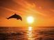 Spectacular sunset with a dolphin leaping from the ocean at 3643 Arbor Chase Dr, Palm Harbor, FL 34683