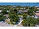 Aerial view of the neighborhood showcasing lush tree coverage, waterfront views, and luxurious homes at 444 W Davis Blvd, Tampa, FL 33606