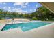 Community pool with lounge chairs, umbrellas, and lush landscaping in a serene setting at 706 1St Ct, Palm Harbor, FL 34684
