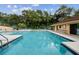 Community pool surrounded by mature trees, offering a refreshing amenity for residents at 706 1St Ct, Palm Harbor, FL 34684