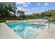Community pool with ladder access, lounge chairs, and umbrellas providing shade for residents at 706 1St Ct, Palm Harbor, FL 34684