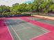 Two community tennis courts with trees, pond, and green space visible nearby at 706 1St Ct, Palm Harbor, FL 34684