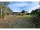 Large backyard featuring tropical landscaping, providing a serene retreat at 728 Camrose Dr, Brandon, FL 33510