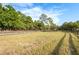 Vast grassy land bordered by trees and fences, providing ample space for various activities at 12311 Oakwood Dr, Hudson, FL 34669