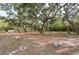 Picturesque property featuring mature trees and an open area, perfect for outdoor activities at 12311 Oakwood Dr, Hudson, FL 34669