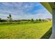 Well-manicured backyard featuring vibrant green grass, scattered trees, and neighborhood views at 16511 66Th E Ln, Parrish, FL 34219
