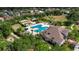 Aerial view of the community pool, playground, and common areas surrounded by lush landscaping at 17516 Bright Wheat Dr, Lithia, FL 33547
