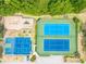 Overhead view of tennis and basketball courts with playground and surrounding lush trees at 19025 Callaway Ct, Tampa, FL 33647