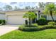 Beautiful front yard featuring lush green grass, palm trees, and attractive shrubbery at 19025 Callaway Ct, Tampa, FL 33647