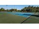 View of well-maintained tennis courts, perfect for sports and outdoor activities in a beautifully landscaped setting at 2117 Lakewood Club S Dr # 7K, St Petersburg, FL 33712