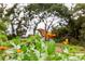 Butterfly on a flower with a garden and gazebo in the background at 307 Los Prados Dr # 307, Safety Harbor, FL 34695