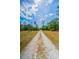 Long private driveway leading to a secluded home, surrounded by trees and blue skies at 8755 Ogleby Creek Rd, Myakka City, FL 34251